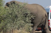 Outside the Letaba Camp in The Kruger National Park