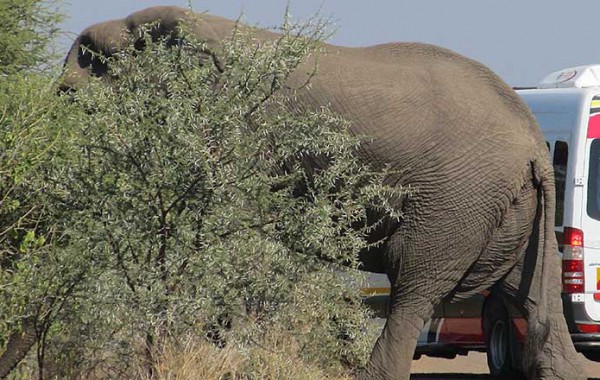 Outside the Letaba Camp in The Kruger National Park