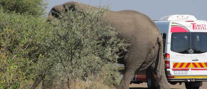 Letaba camp in The Kruger National Park