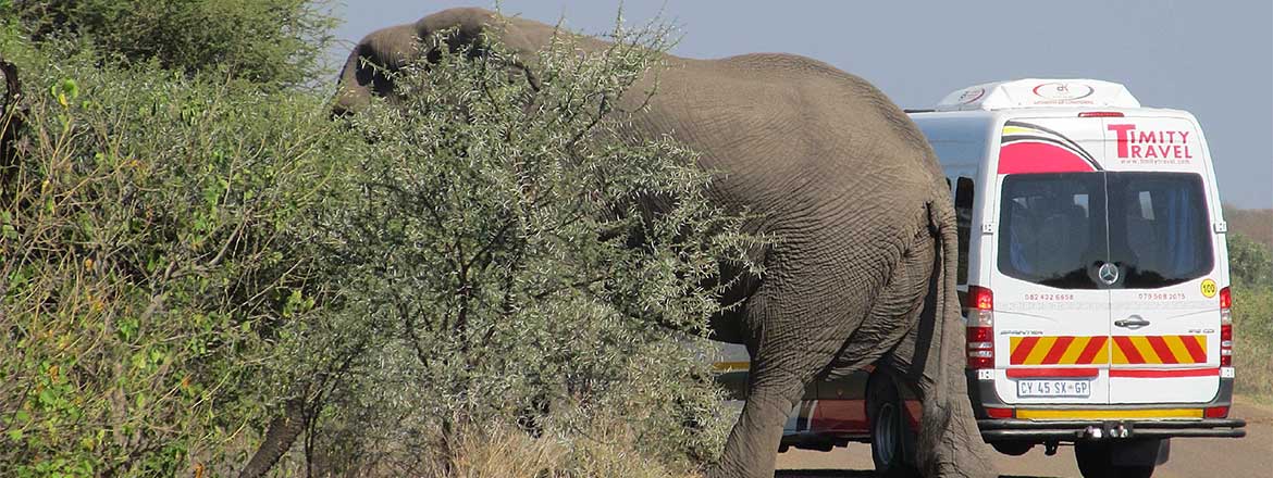 Outside the Letaba Camp in The Kruger National Park