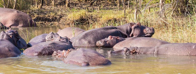 St. Lucia Lake – KwaZulu-Natal